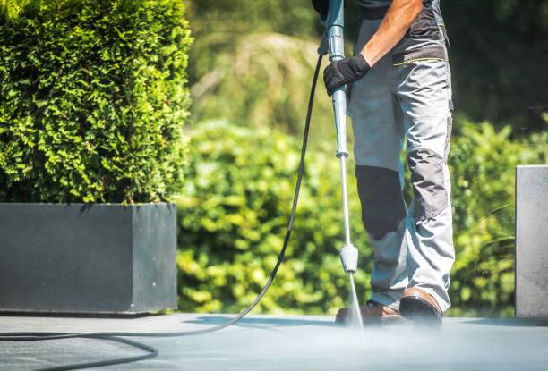Best Rust Removal  in Minden, NV