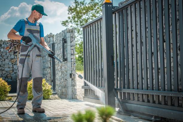 Best Roof Washing  in Minden, NV