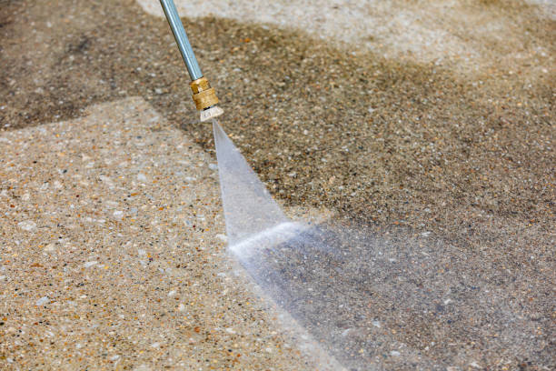 Animal Enclosure Cleaning in Minden, NV